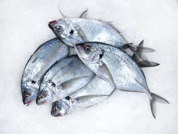 Small trevally whole