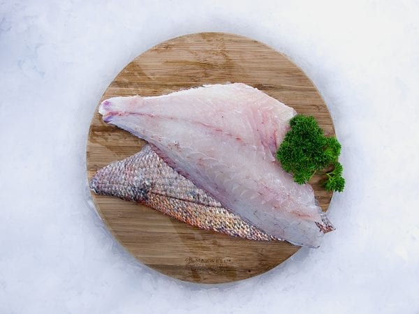 Snapper skin on