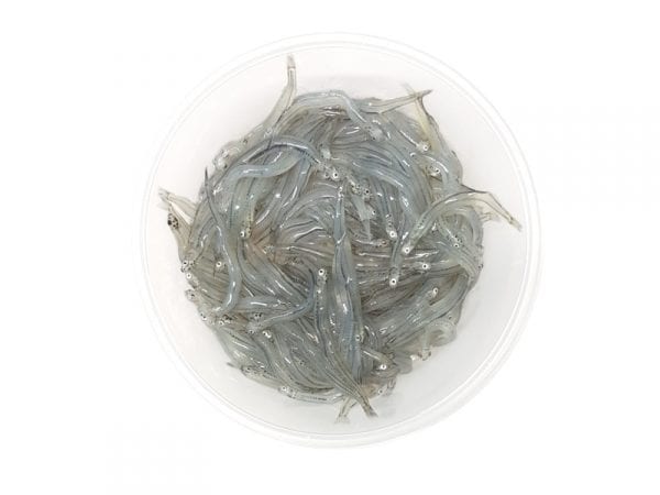 Whitebait 100g v2